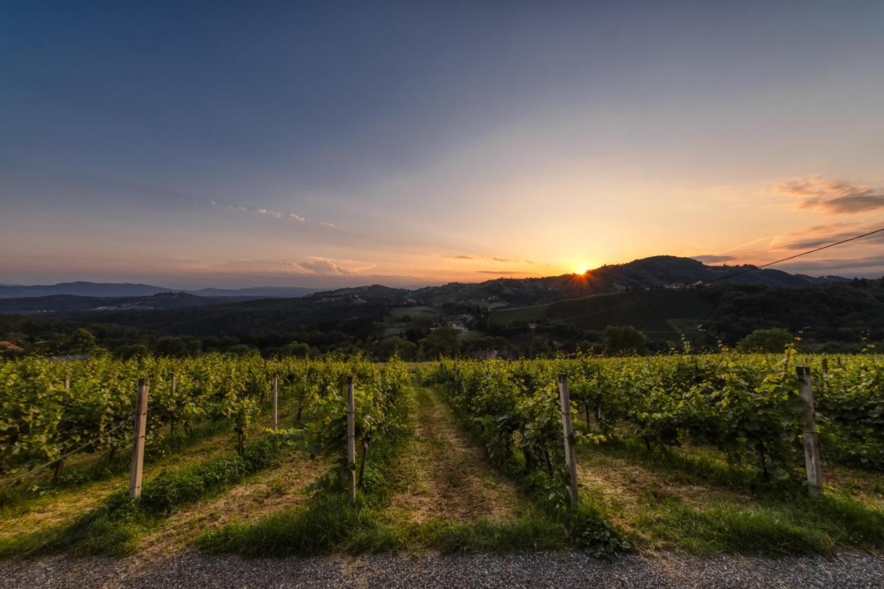 Hotel Weingut Reiterer Kitzeck im Sausal Exterior foto