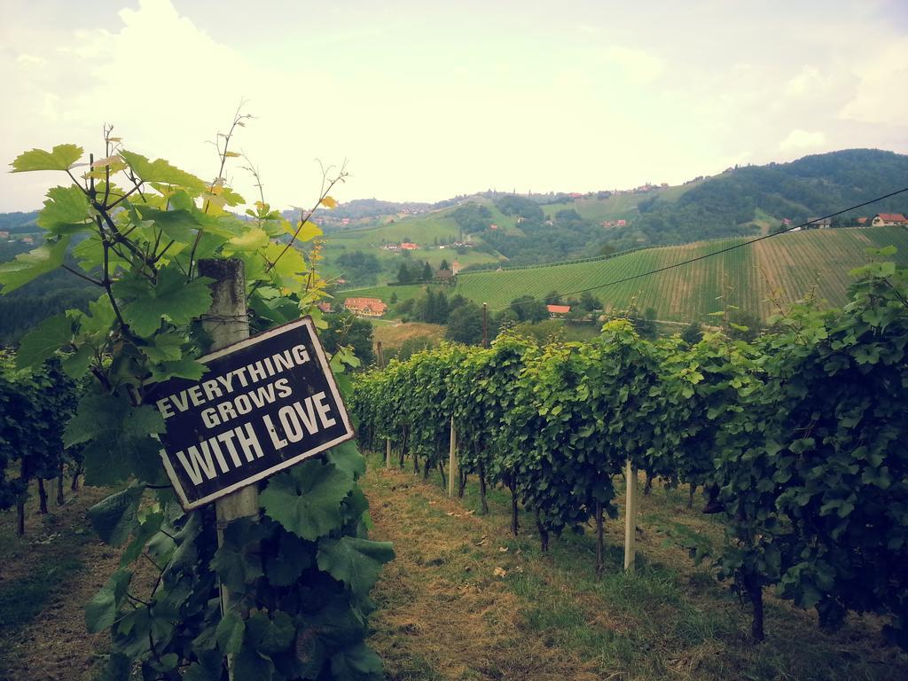 Hotel Weingut Reiterer Kitzeck im Sausal Exterior foto