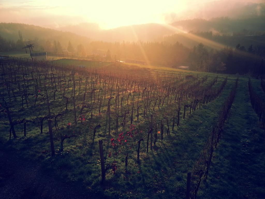 Hotel Weingut Reiterer Kitzeck im Sausal Exterior foto