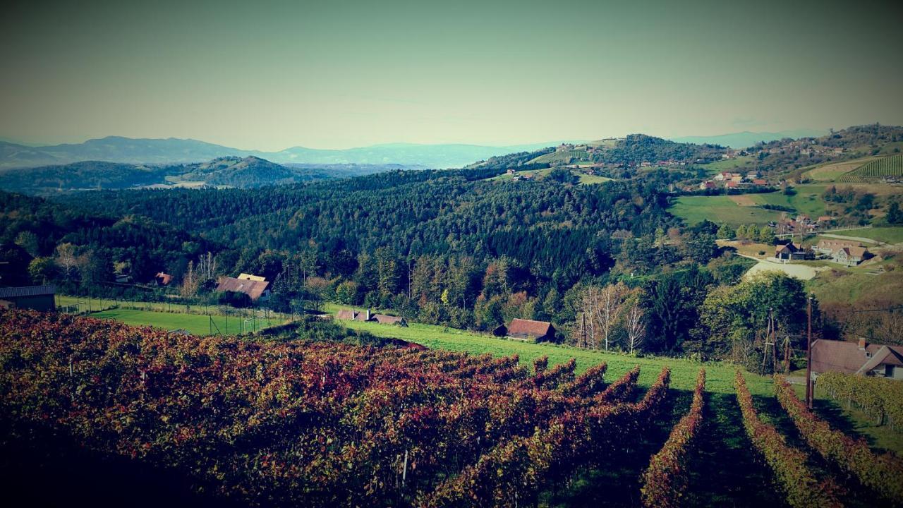 Hotel Weingut Reiterer Kitzeck im Sausal Exterior foto